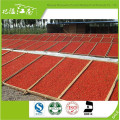 Red new fresh distributor herbal type goji berry